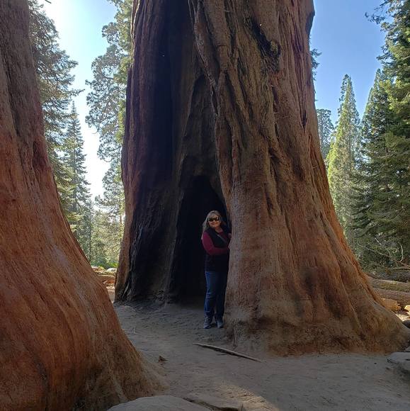 Meet your Posher, Sharon - Picture 1 of 1